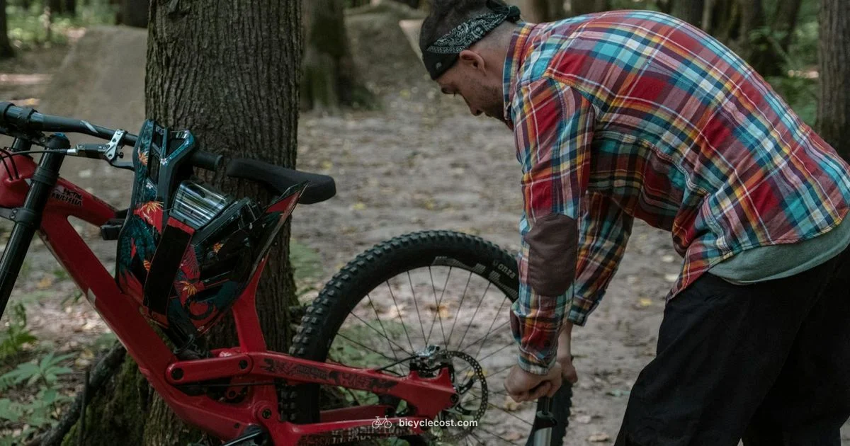 Inflation Essentials - BicycleCost