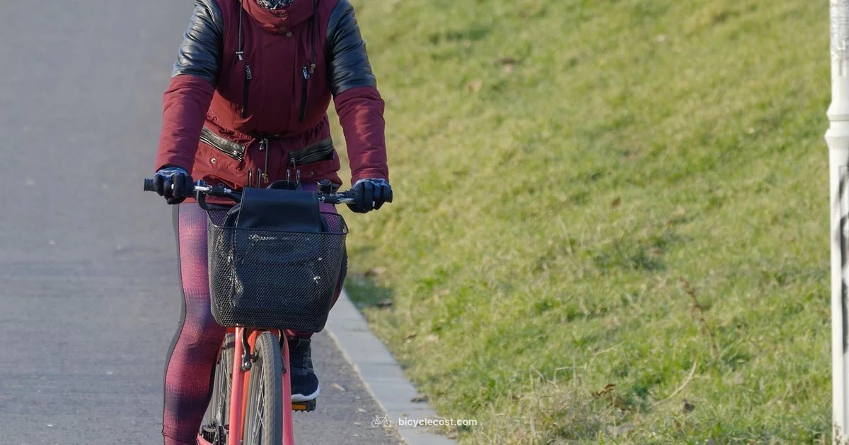 Passenger Bicycles Guide - BicycleCost