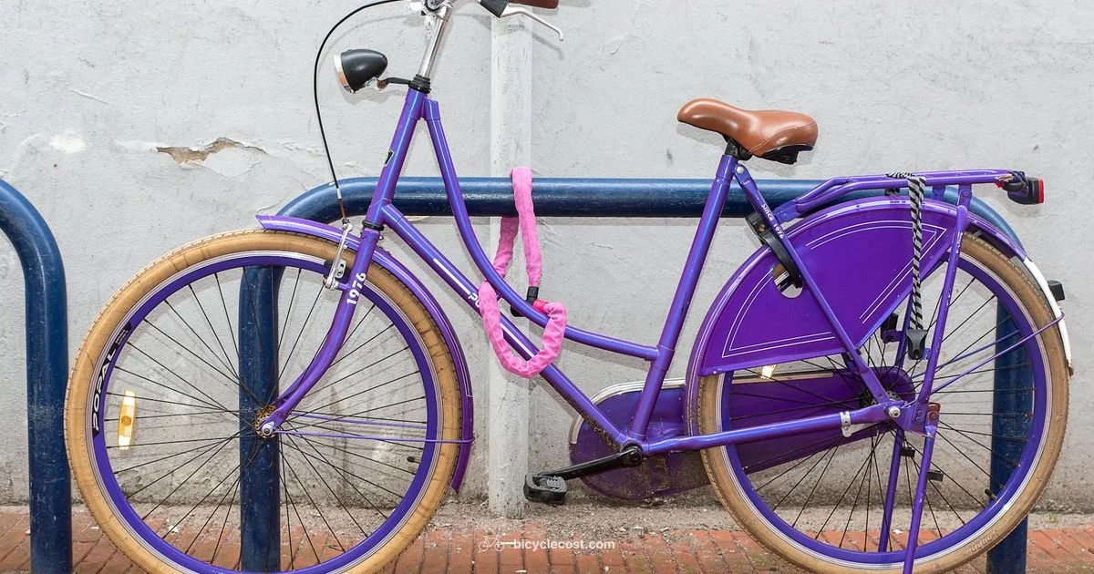 Secure Your Ride - BicycleCost