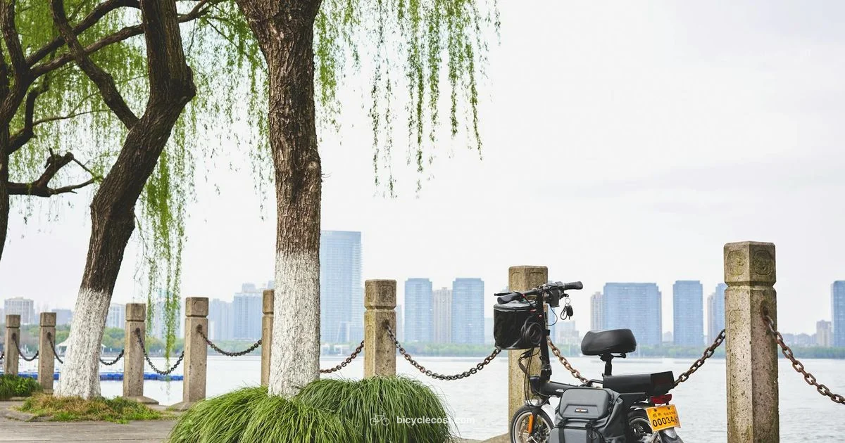 Engwe E-Bike Guide - BicycleCost