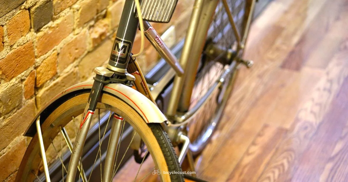 Rider Basics - BicycleCost