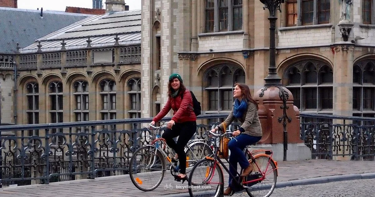 Bike vs Car: Speed Showdown - BicycleCost