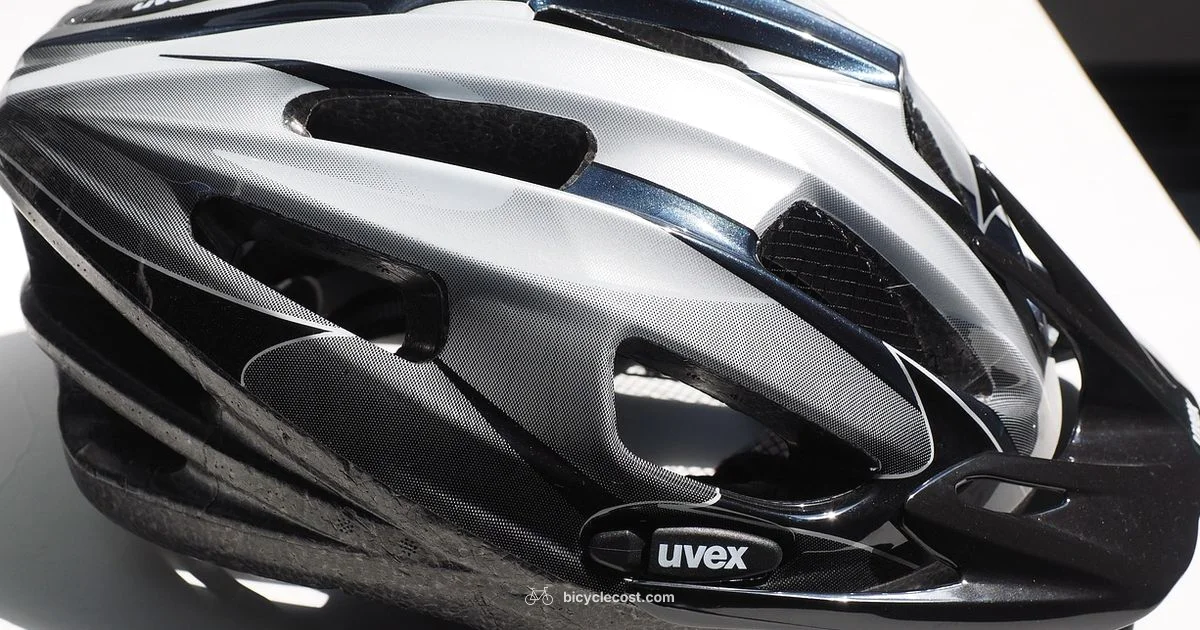 Helmet Lifespan - BicycleCost