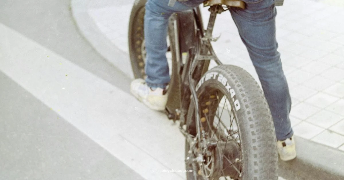 E Bike Guide - BicycleCost