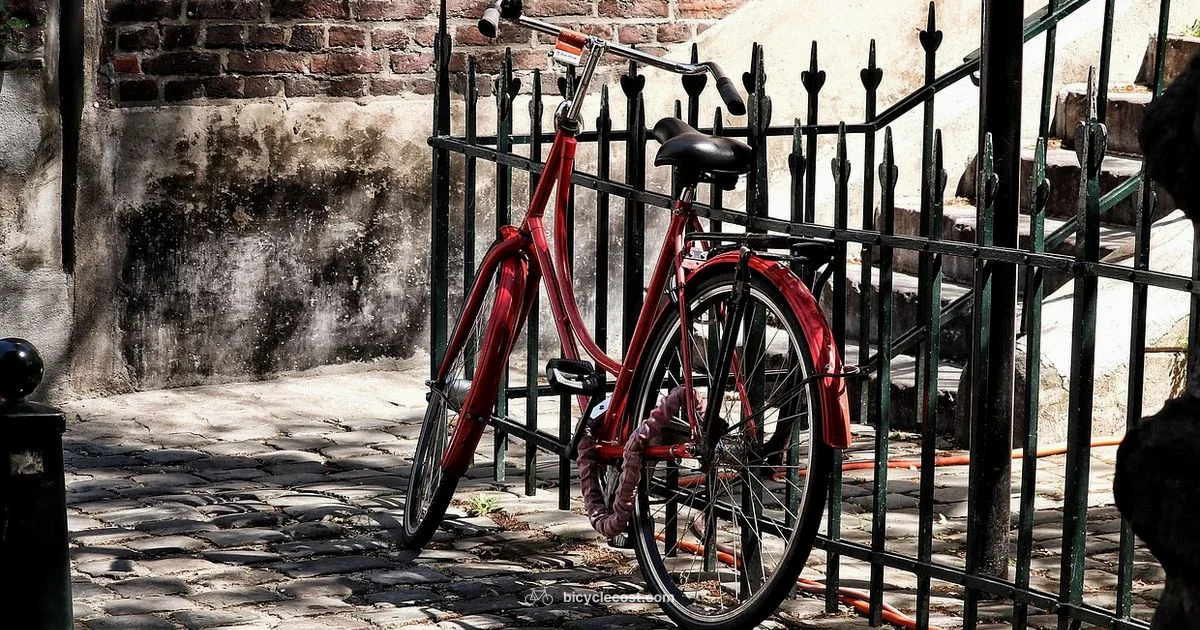 Plastic Cards & Bikes - BicycleCost