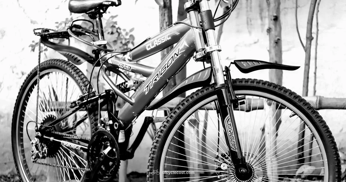 Bicycle Meaning Overview - BicycleCost