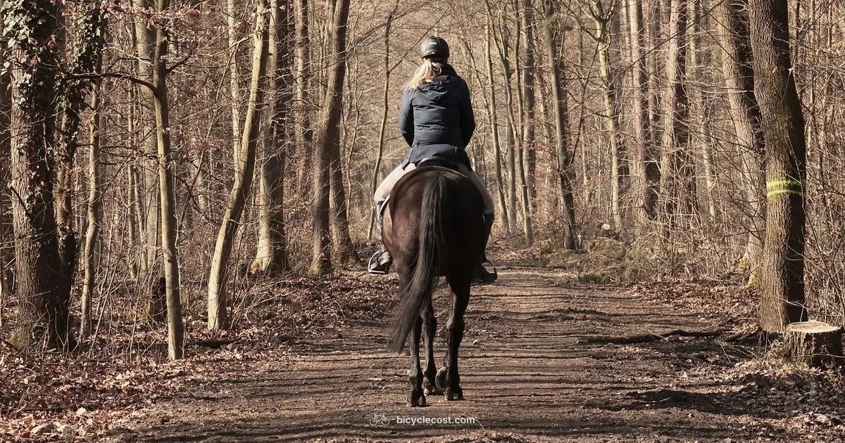 Bicycle Trails Guide - BicycleCost