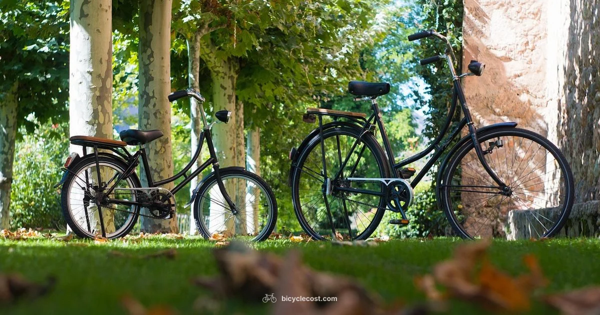 Find a Bike Nearby - BicycleCost