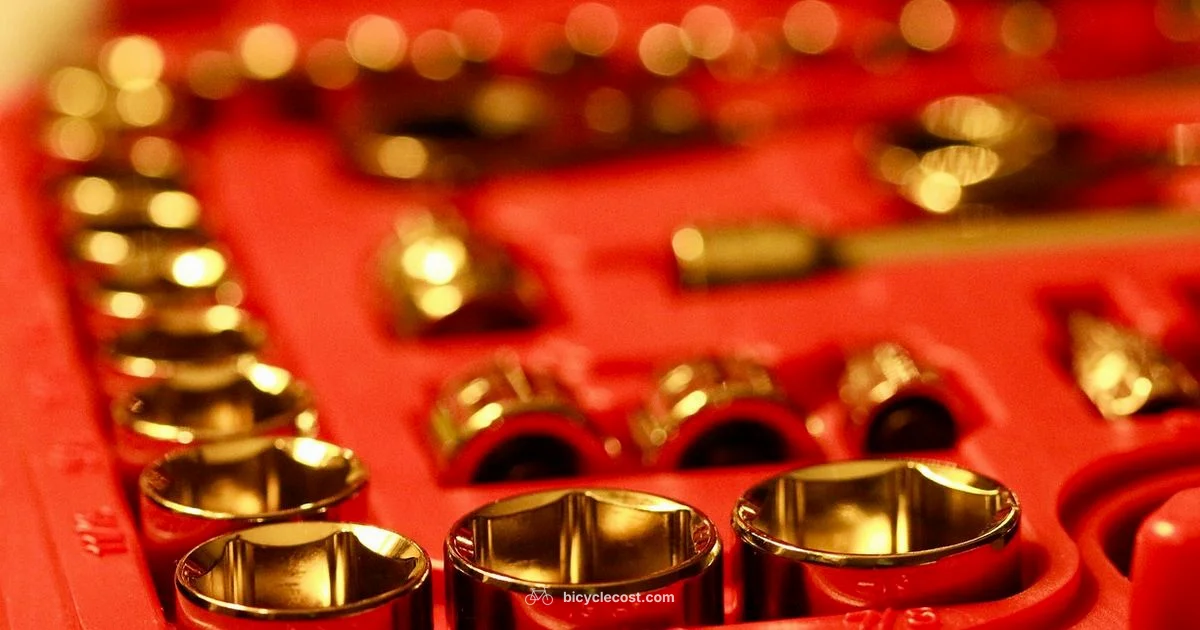 Essential Bike Tools - BicycleCost