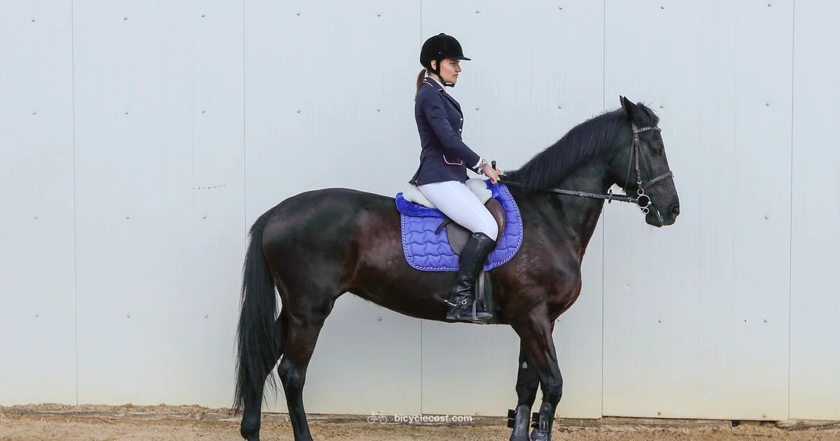 Bike Safety Essentials - BicycleCost