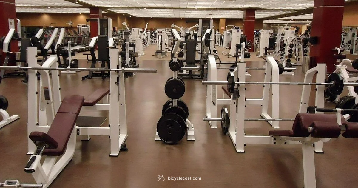 Home Exercise Bike - BicycleCost