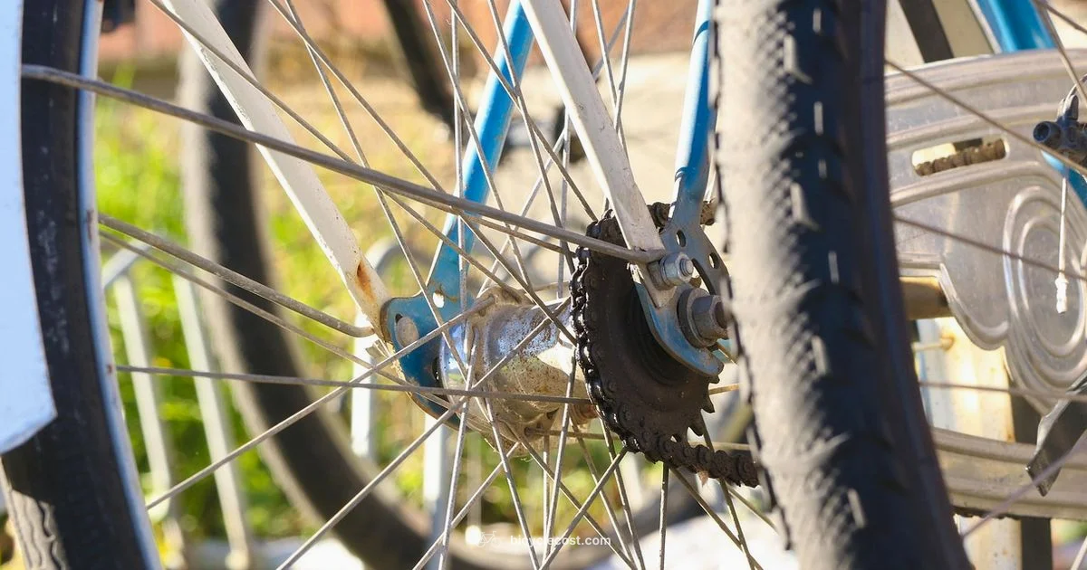 32-Inch Wheel Guide - BicycleCost