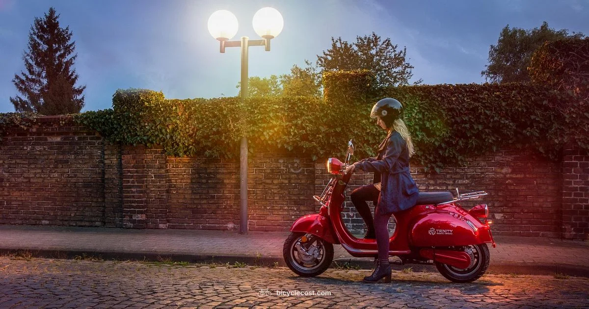 Hub Motor Bikes - BicycleCost