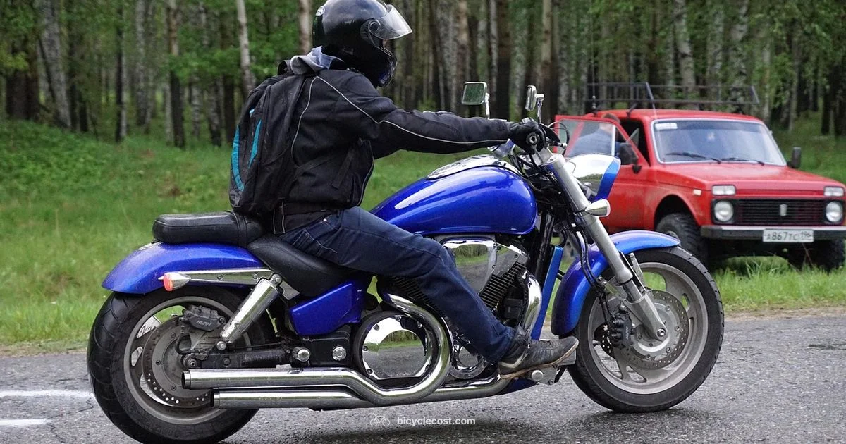 Gearless City Ride - BicycleCost