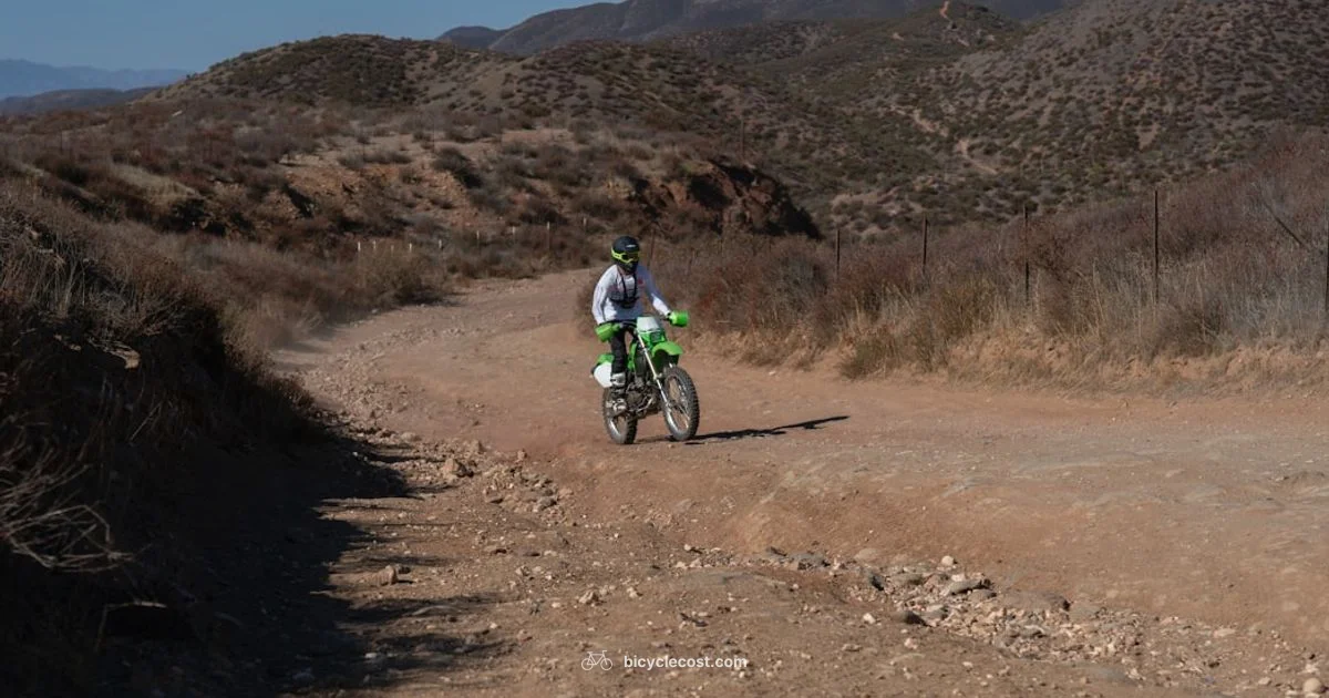 26 Inch MTB Guide - BicycleCost