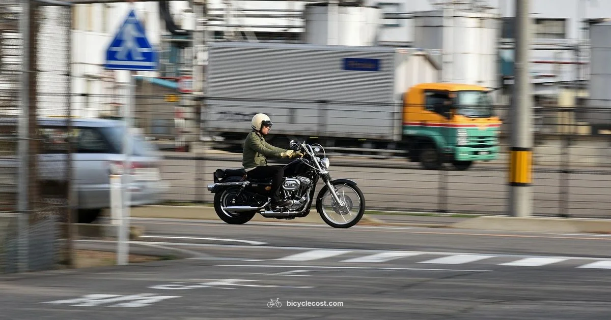 Long-Drive Bikes - BicycleCost