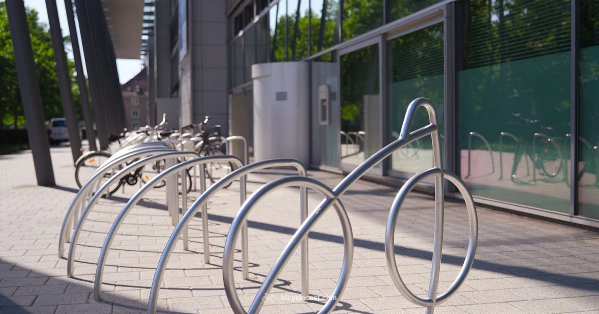 Clean Chain & Gears - BicycleCost