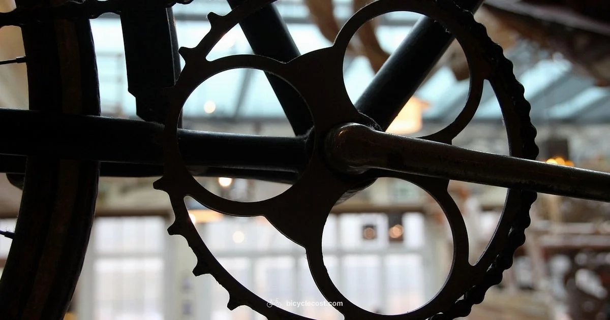 Chain Buying Guide - BicycleCost