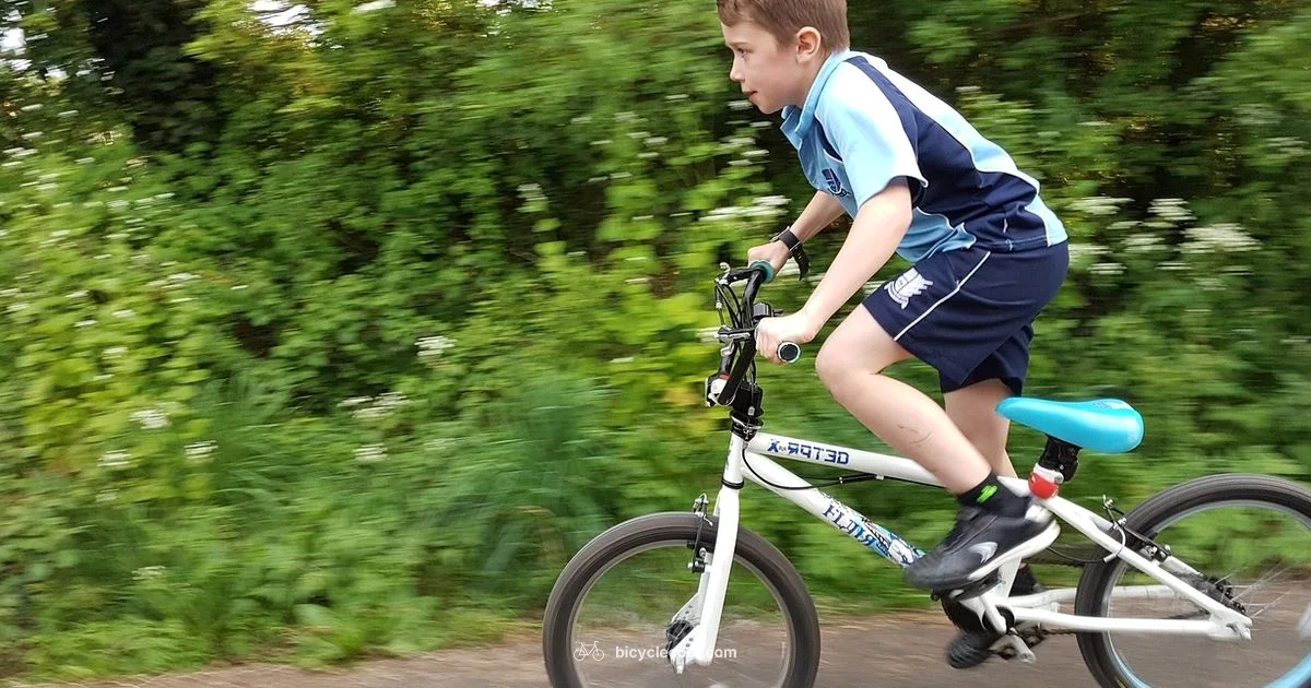 Learning to Ride - BicycleCost