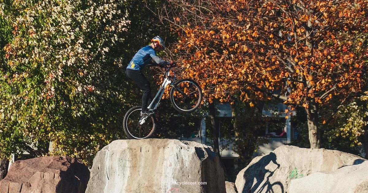 Balance Basics for Bicycles - BicycleCost