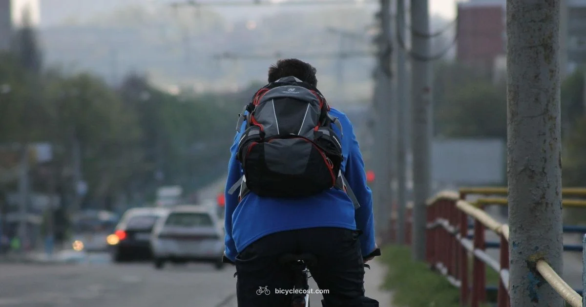 Car vs Bicycle - BicycleCost