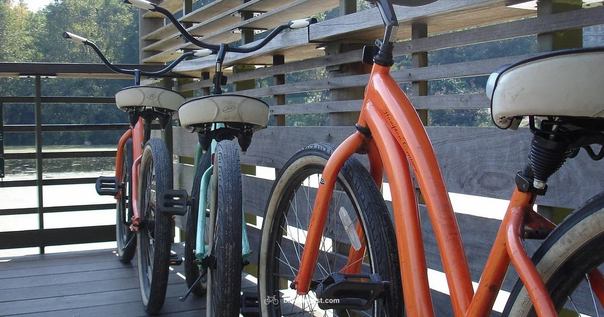 Ride Central Park - BicycleCost