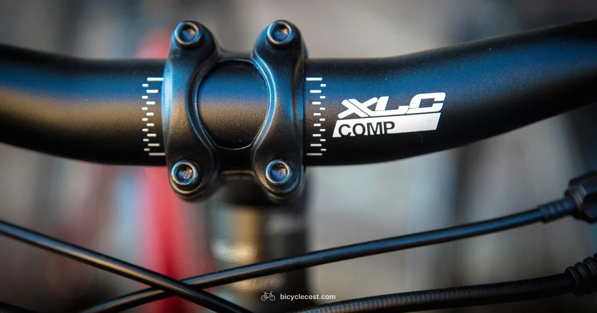 Comfortable Saddle Guide - BicycleCost