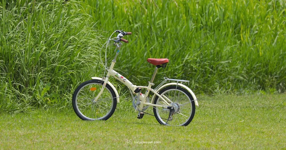 Ride Readiness - BicycleCost