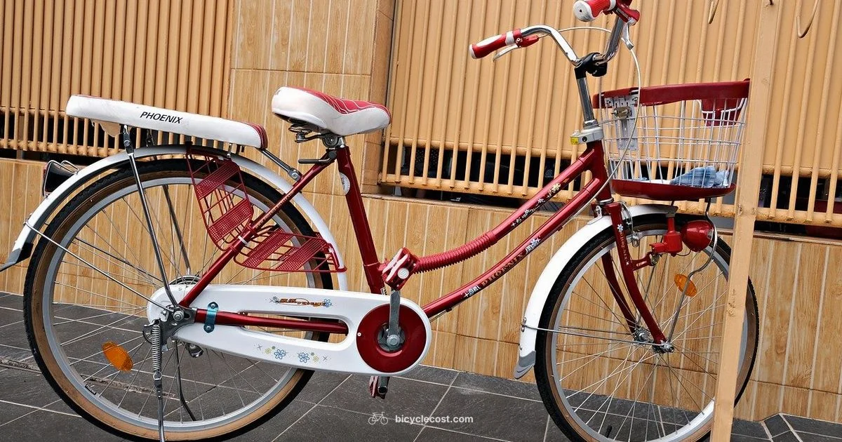 Bike Quest Guide - BicycleCost