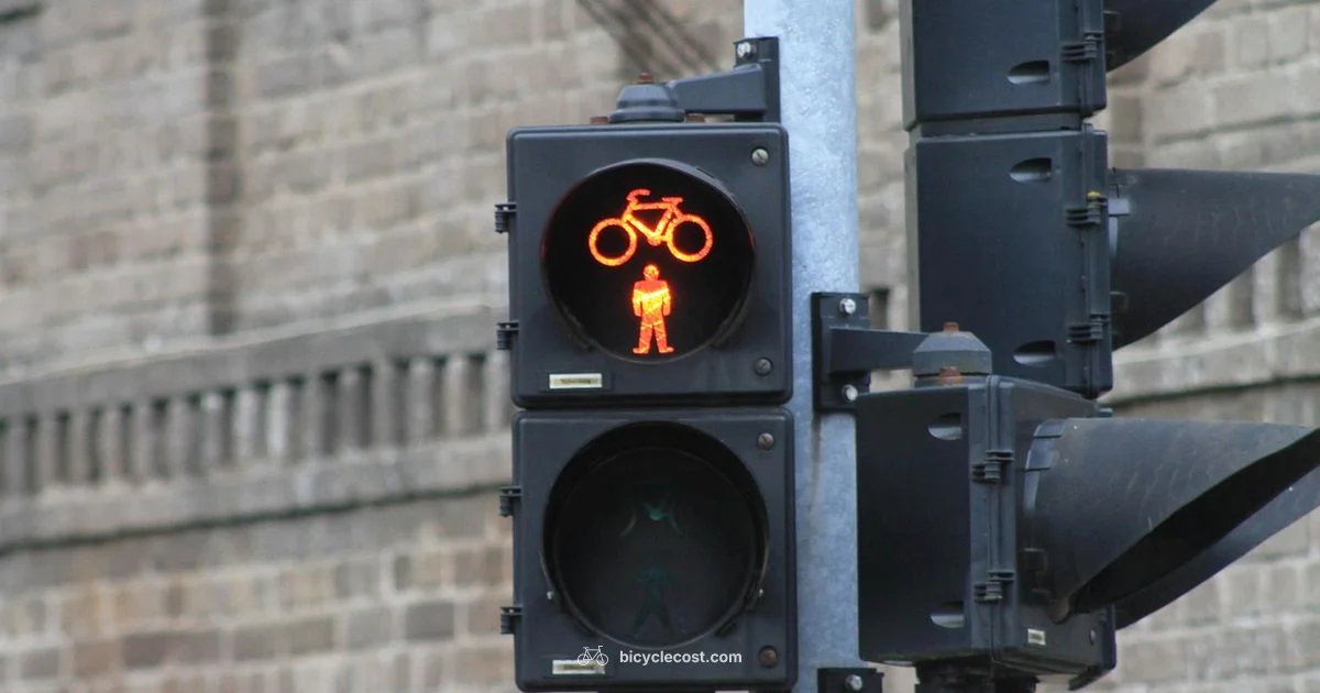 Red Light Rules - BicycleCost