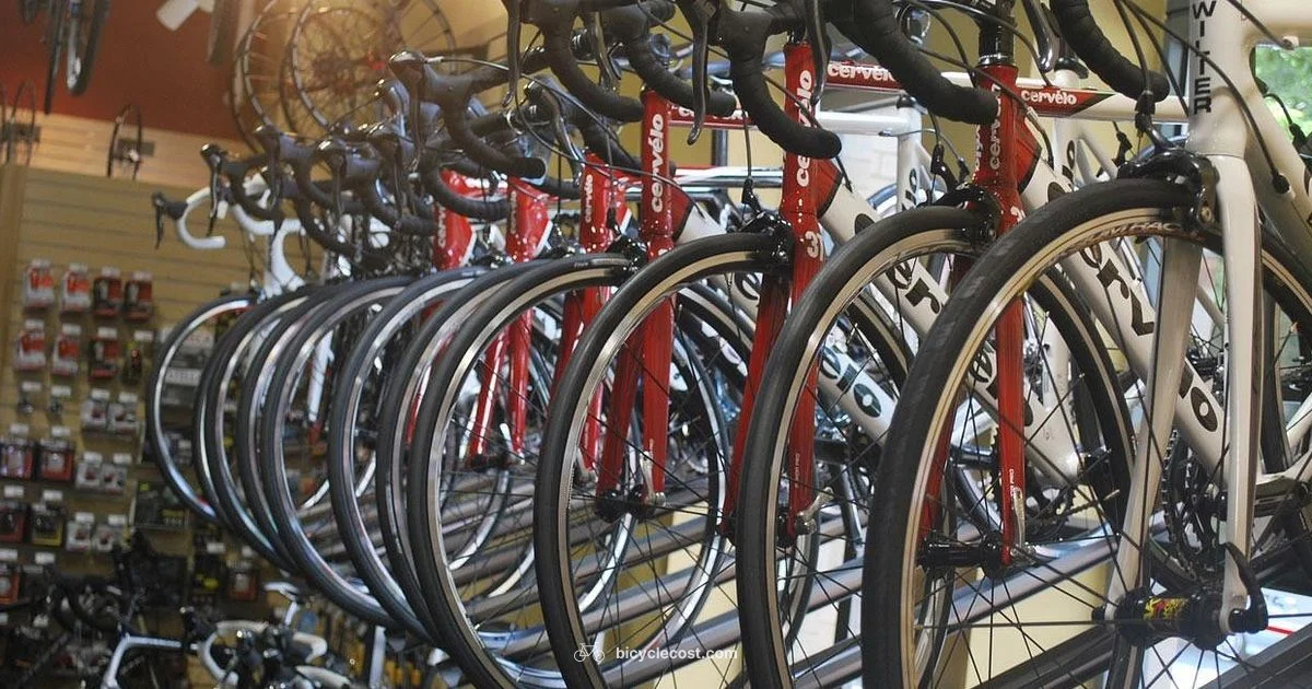 Bicycle Pump Guide - BicycleCost