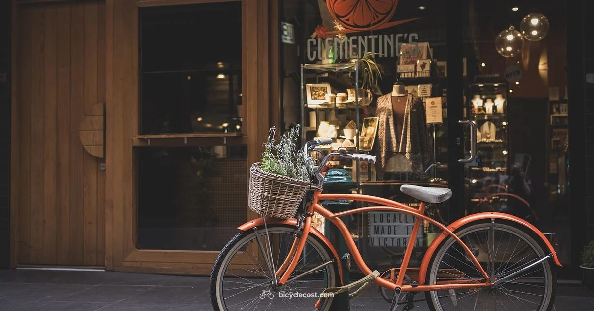 Price Drivers - BicycleCost