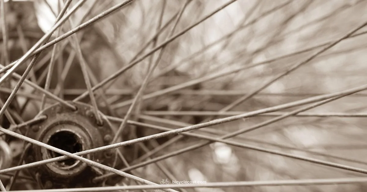 Rim Cleaning Guide - BicycleCost