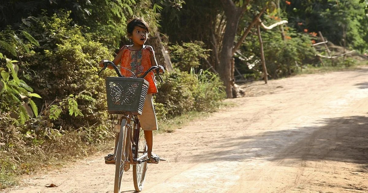 Bicycle Girl TWD - BicycleCost