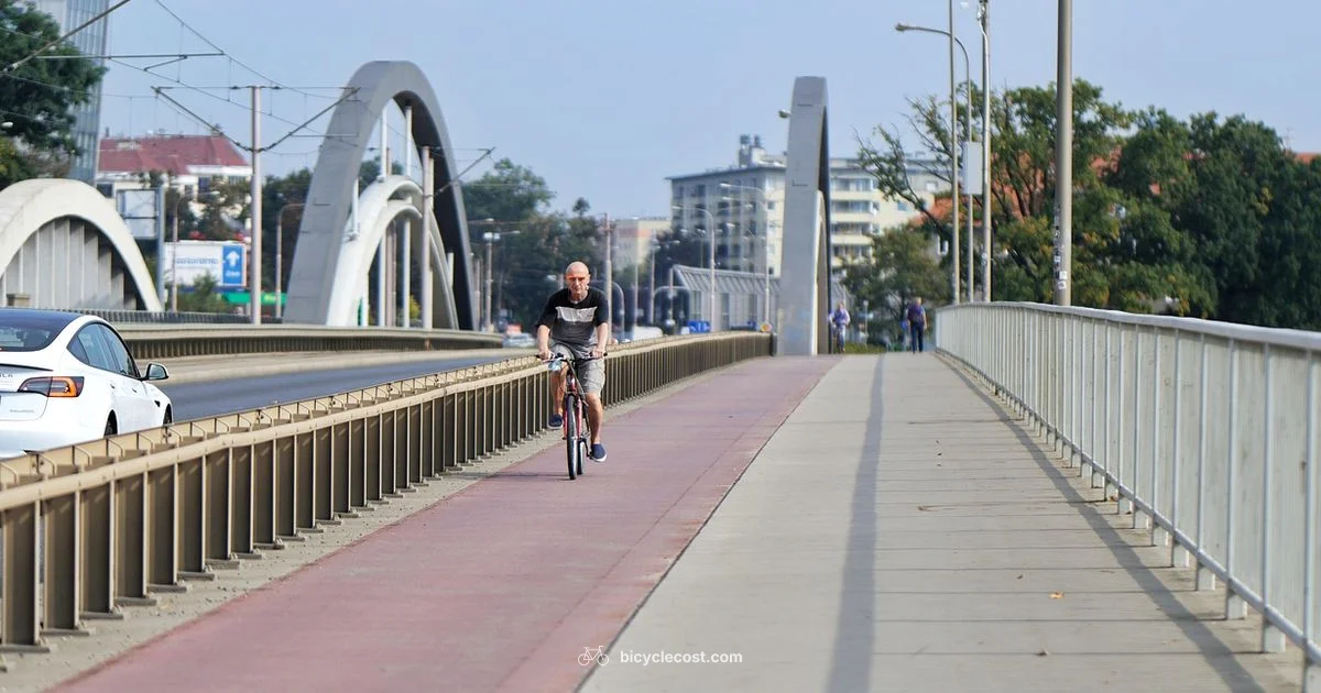 Safe Lane Stops - BicycleCost