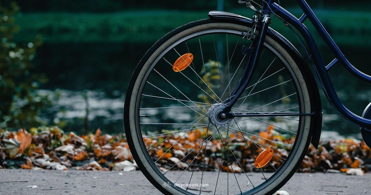 700c Wheels Guide - BicycleCost