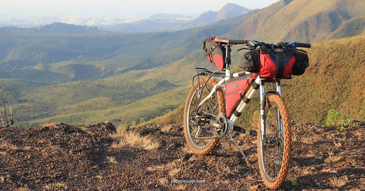 Box Your Bike Safely - BicycleCost