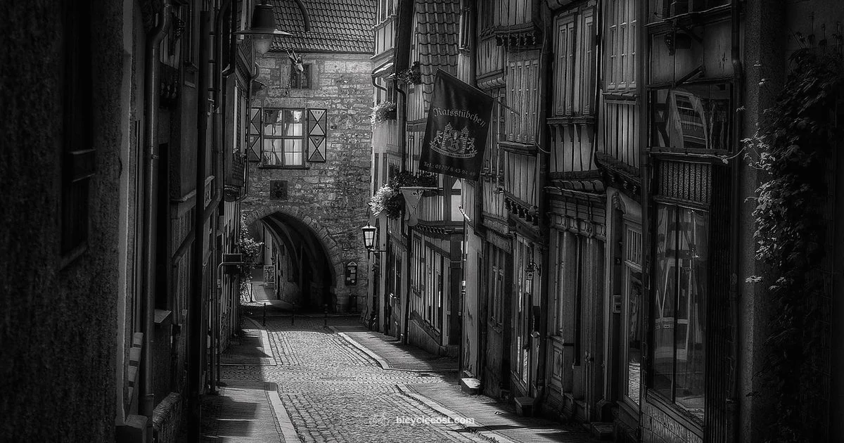 Gears Through Time - BicycleCost