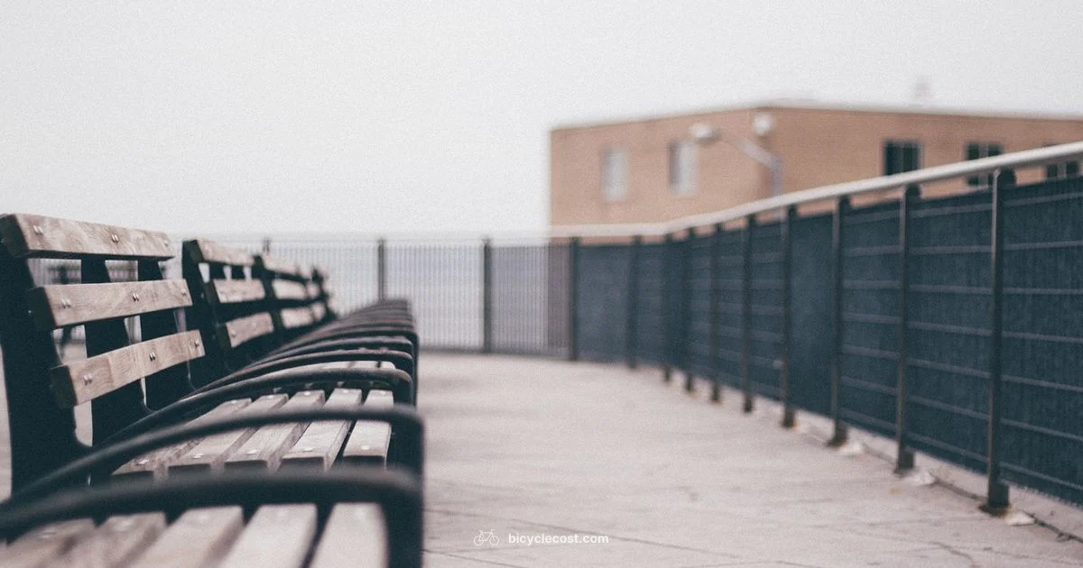 Early Bicycle History - BicycleCost