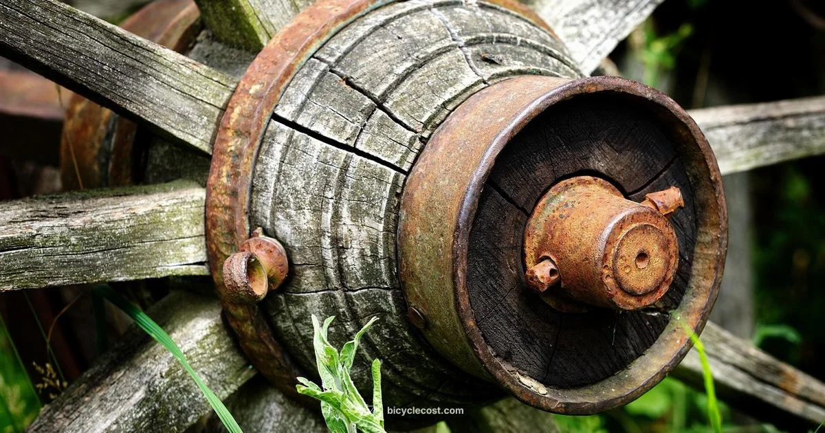 Bike Hub Essentials - BicycleCost