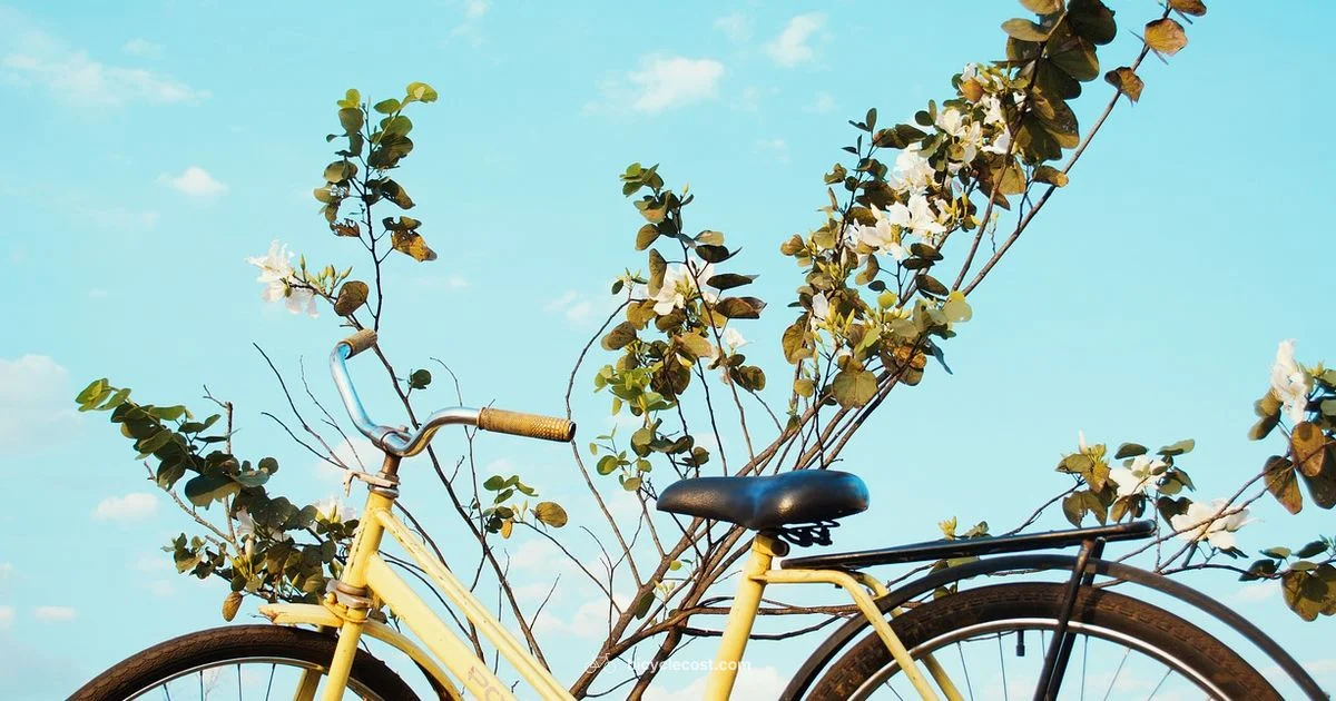 Tire Leak Fix - BicycleCost