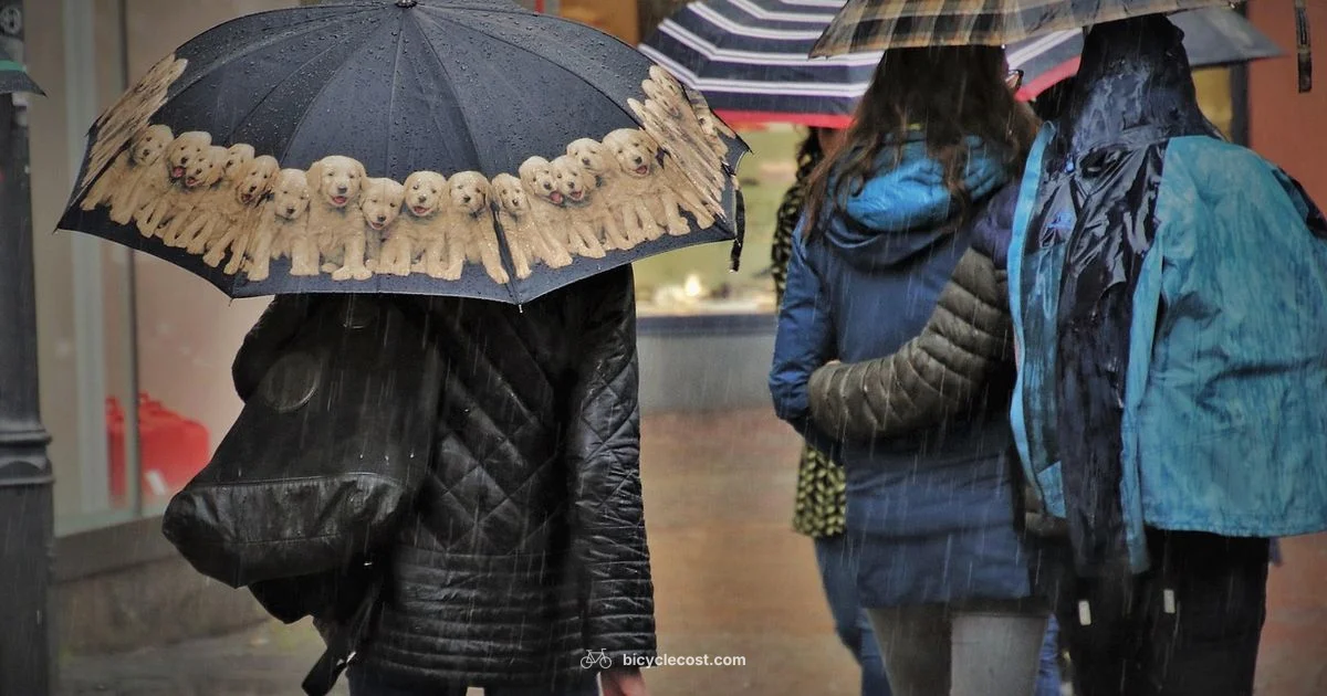 Cycling Jackets for Men - BicycleCost