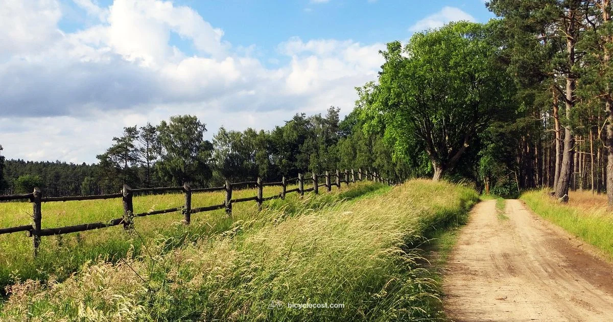 Off Road Guide - BicycleCost