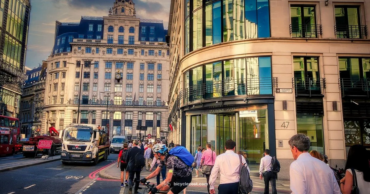 Safe Speed Guide - BicycleCost