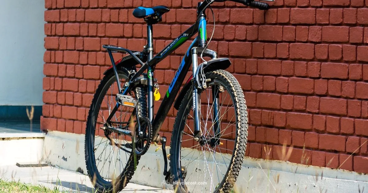 Bike Fit Guide - BicycleCost