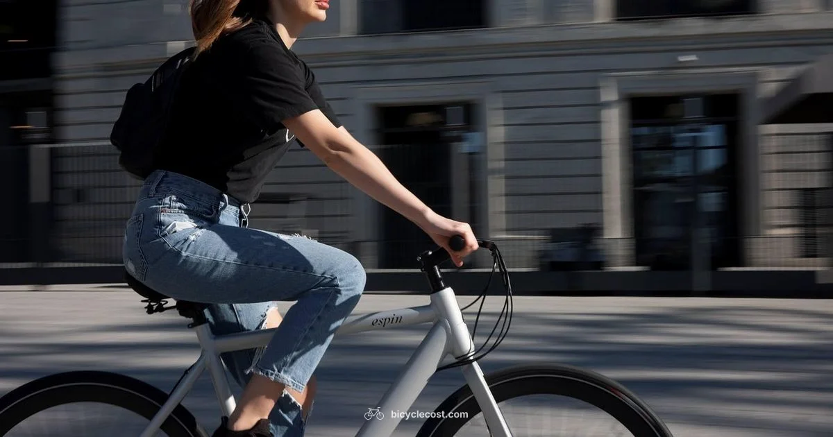 Eco Friendly E Bike - BicycleCost