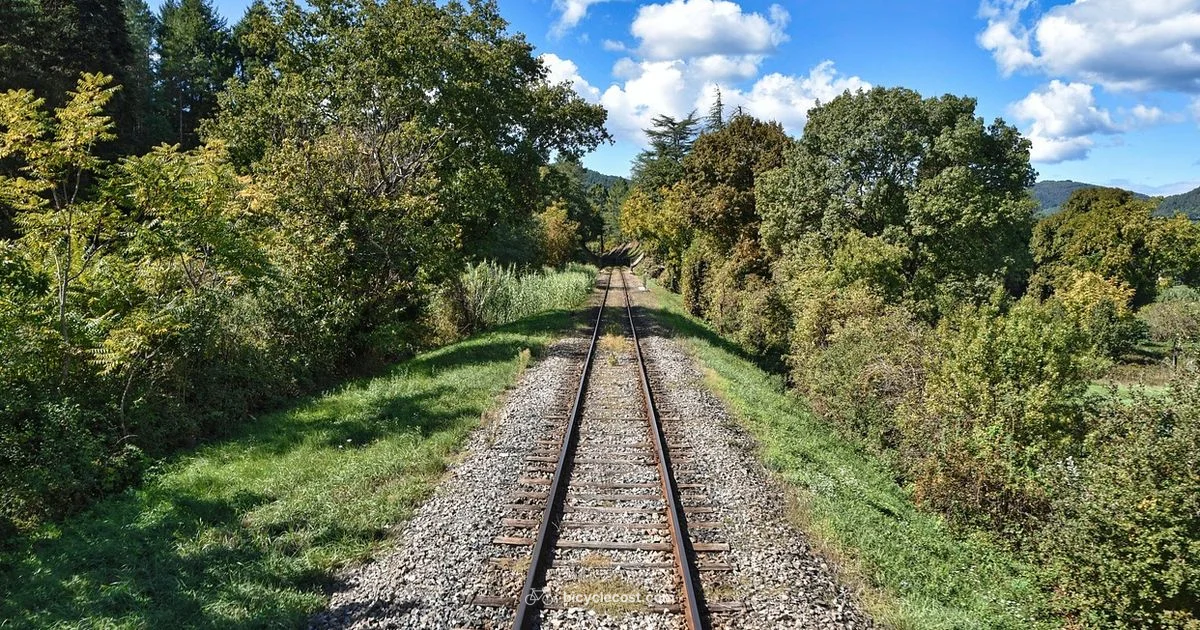 Rail Trail Ride - BicycleCost