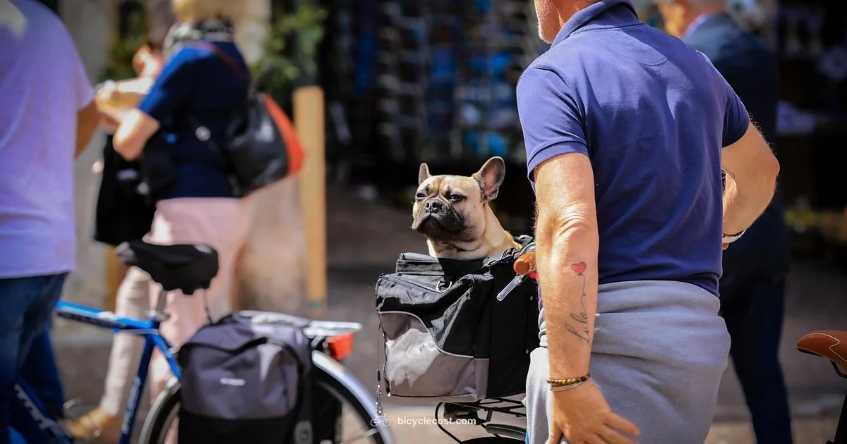 Dog Basket Safety - BicycleCost