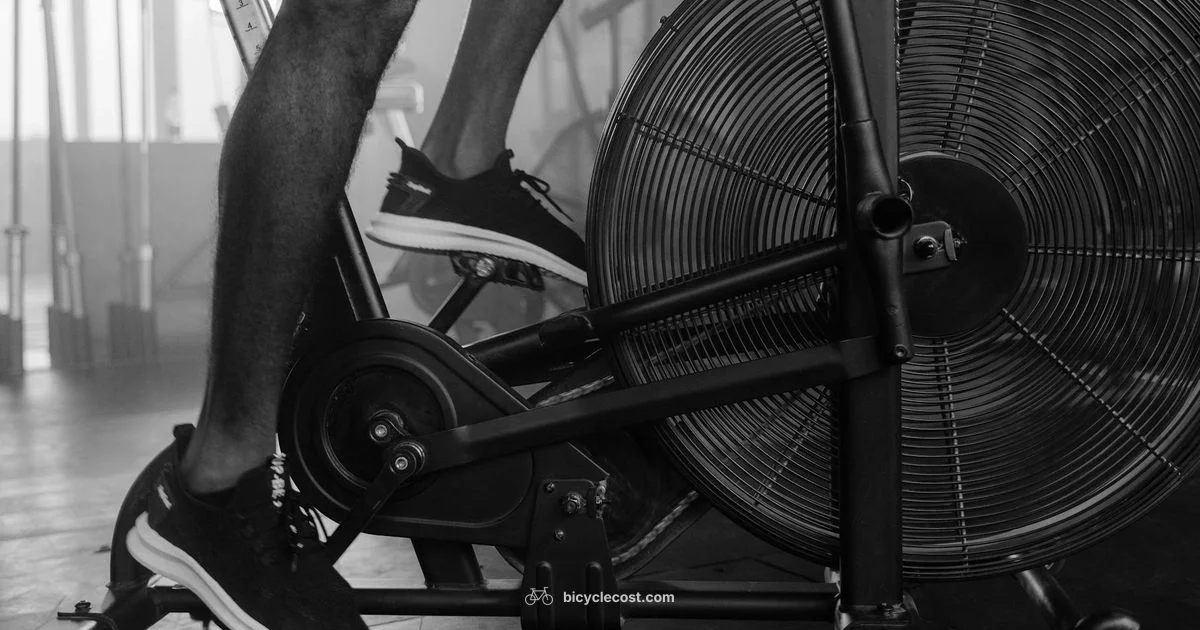 Realistic Indoor Ride - BicycleCost