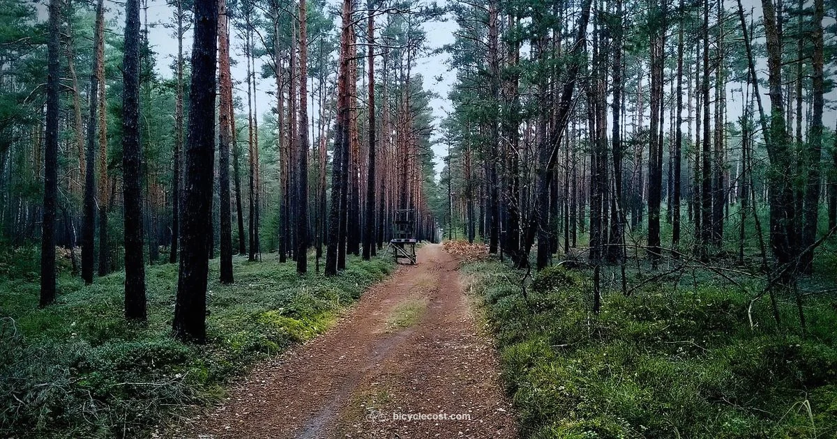 Rockrider Guide - BicycleCost